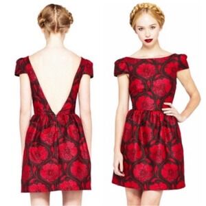 Alice + Olivia Red and Black Mini Dress